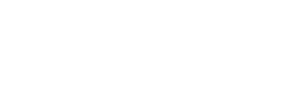 SILAB 3D